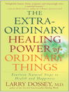 Cover image for The Extraordinary Healing Power of Ordinary Things